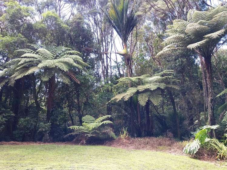 55 Sylvan Valley Avenue Titirangi_21