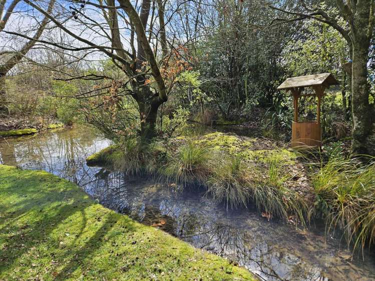 638 Oxford Road Fernside_24