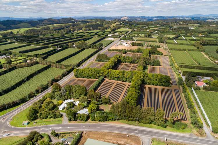 1433 State Highway 10 Kerikeri_5