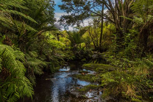 233 Ahuroa Valley Road Makarau_4