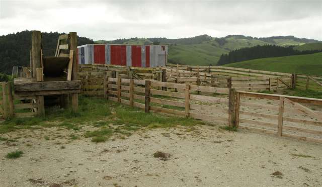 State Highway One Taupo_2