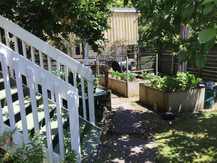 162 Tapu Coroglen Road Tapu_22