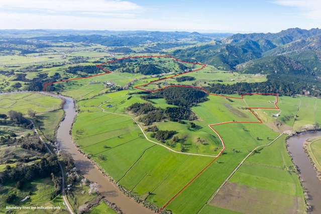 412 Pukehuia Road Tangiteroria_3