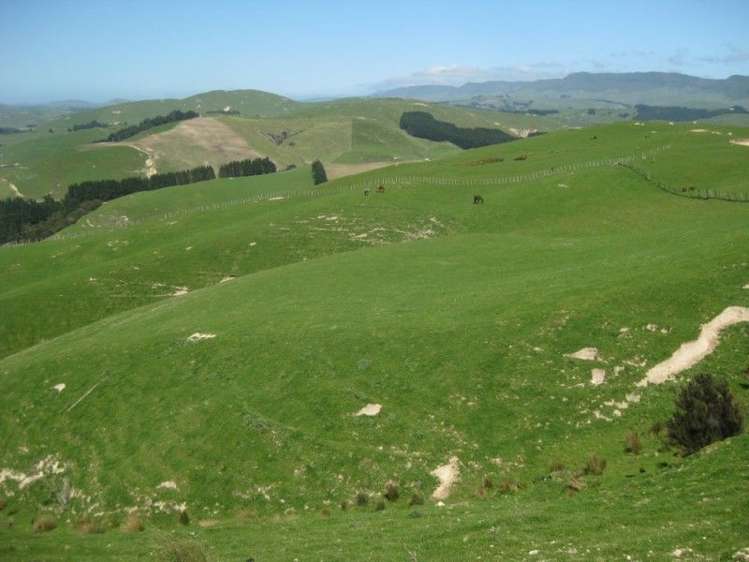 858 Oporae Road Waione_13