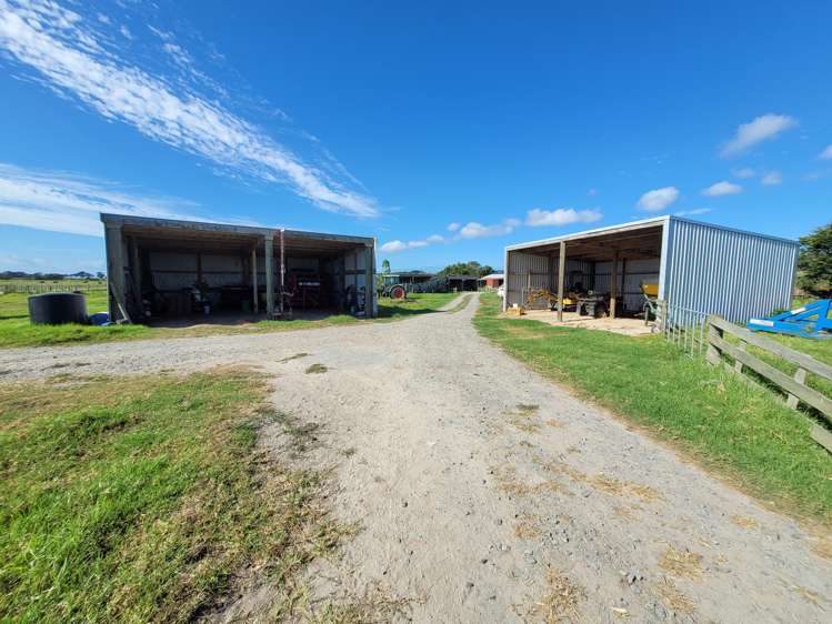 1919 Pouto Road Te Kopuru_13