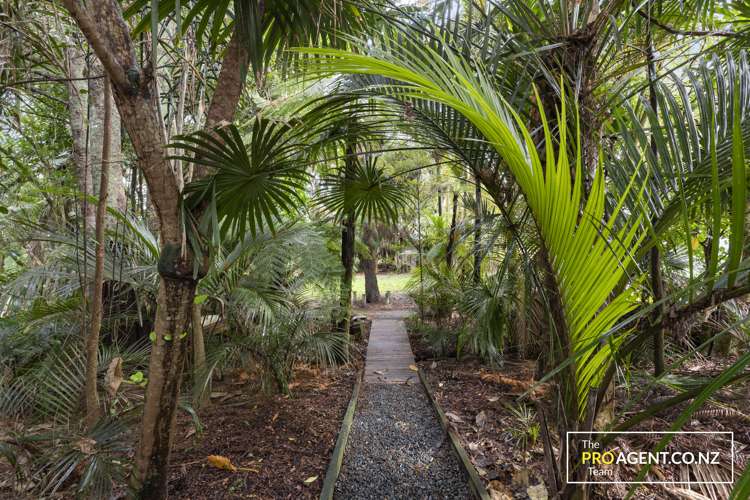 29 Hollywood Avenue Titirangi_21