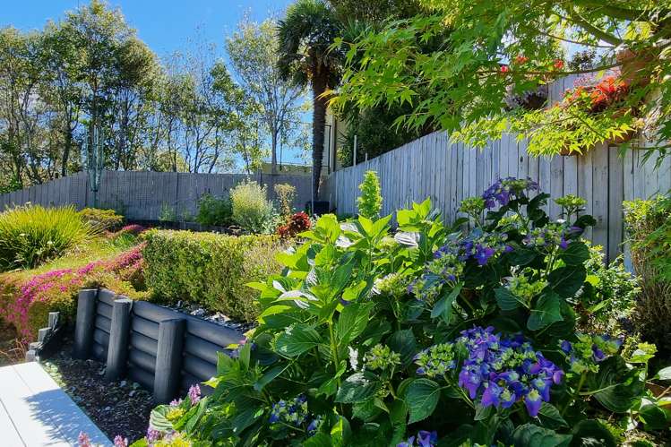 92 Braemar Road Castor Bay_7