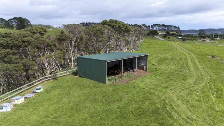 147 Fuller Road, South Head Helensville_5