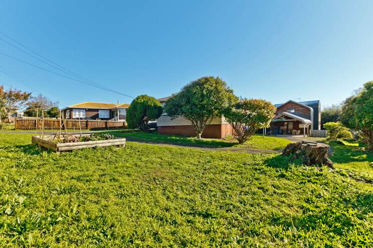 36 Powell Street Avondale_18