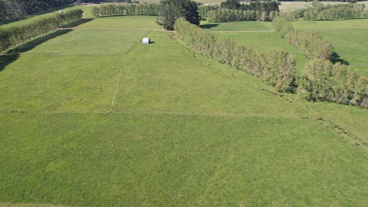 374 Rakauwahia Road Taheke_19