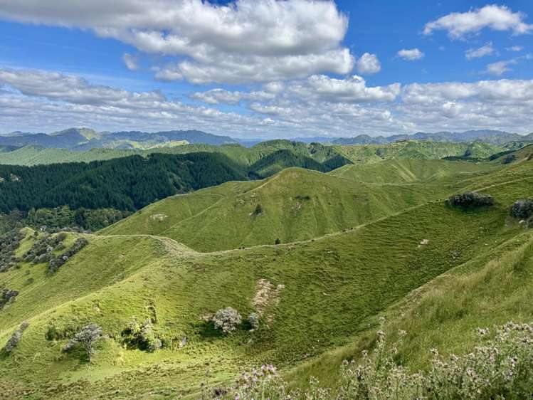 213 Parihauhau Road Parikino_2