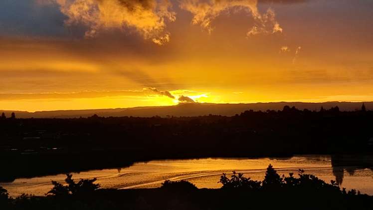 124 Haukore Street Hairini_20