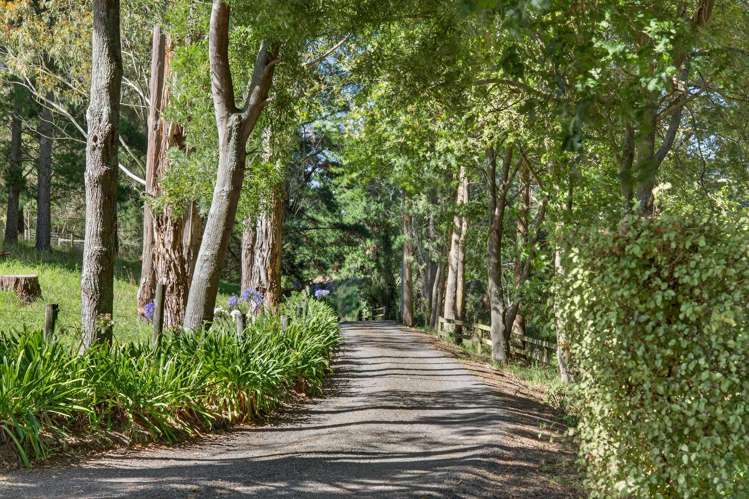 149 Terrace Road Cust_31