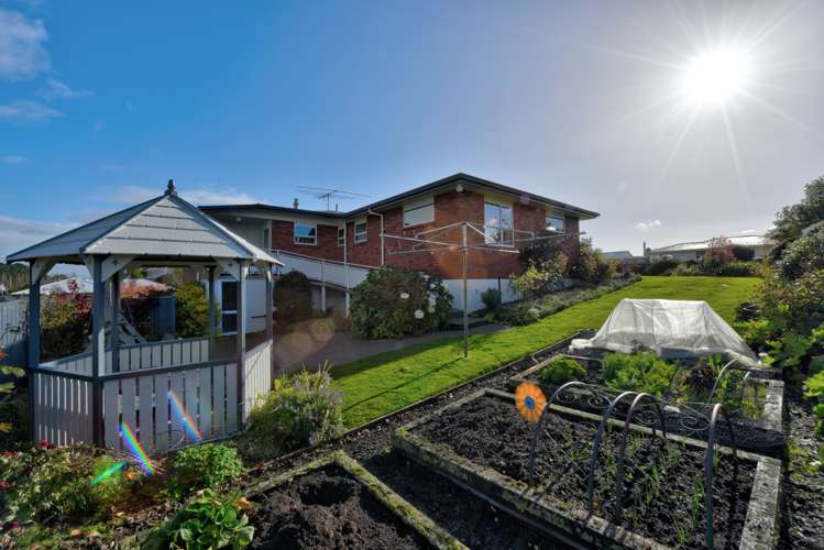 123 Frank Street Gore_30