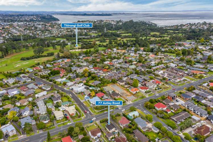 77 Astley Avenue New Lynn_19