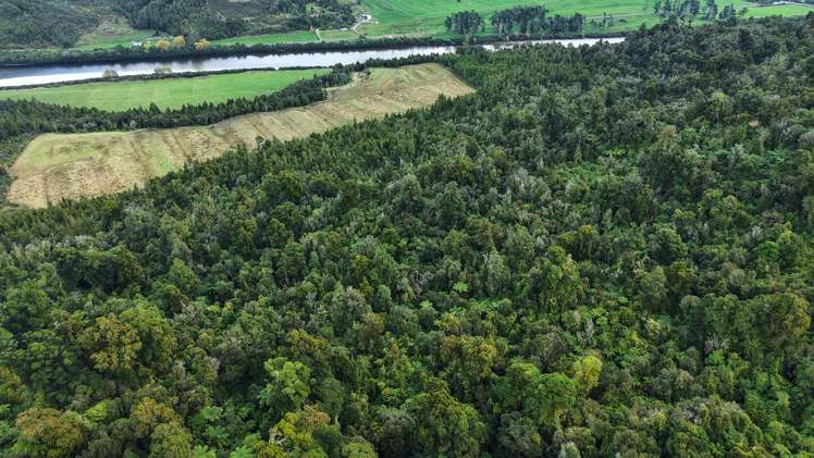 40Ha Block State Highway 67 Mokihinui_29