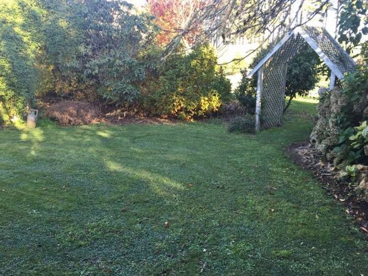 311 Opunake Road Cardiff_29