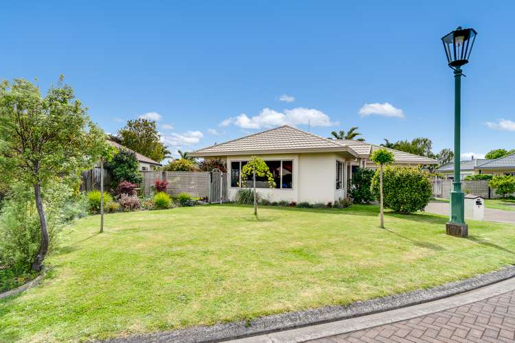 5 Wilton Row Taradale_11