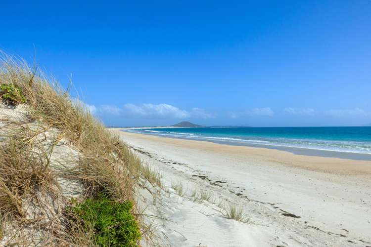 Lot 1/449 Matai Bay Road Karikari Peninsula_20