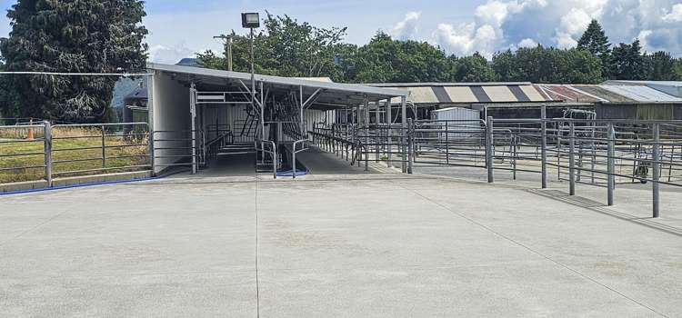 62 Ngamotu Road Rerewhakaaitu_19