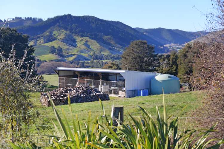 54 Upper Stanley Brook Road Kahurangi National Park_17