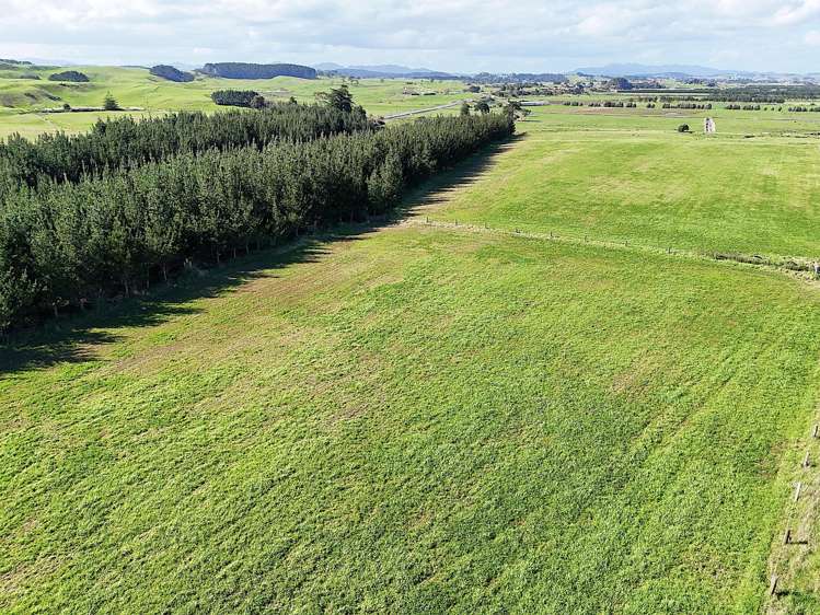 413A Baylys Coast Road Dargaville_9