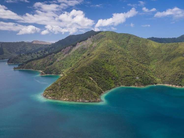 Patten Passage Marlborough_12