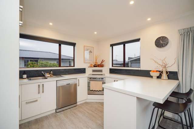 86 Edinburgh Crescent Waikiwi_2