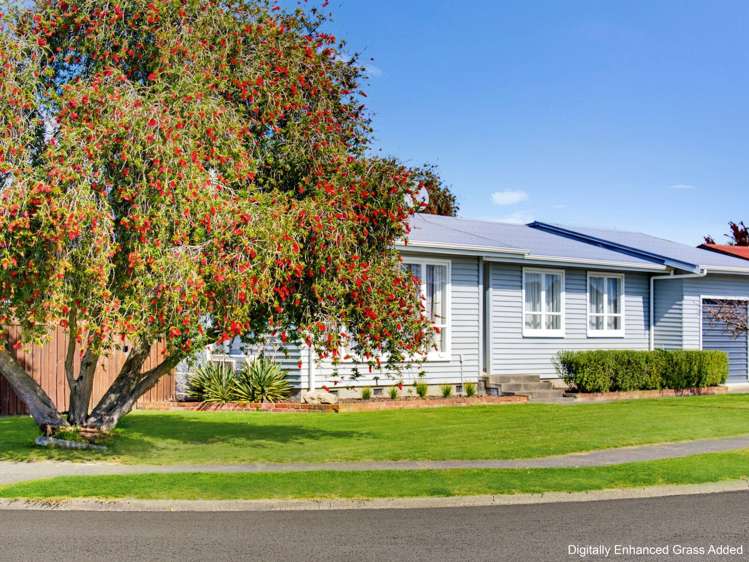 1 Jellicoe Place Tamatea_19