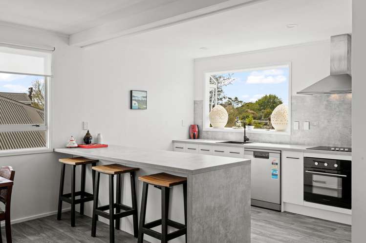 9 Meads Place Bulls_5