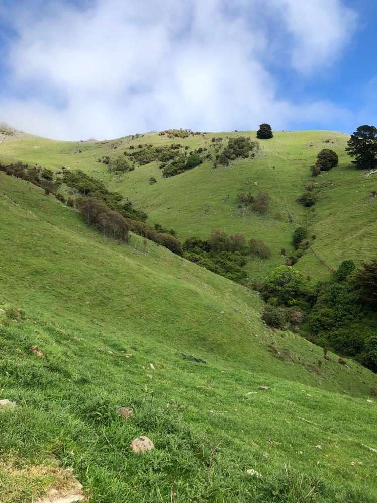 4990 Christchurch Akaroa Road Little River_3