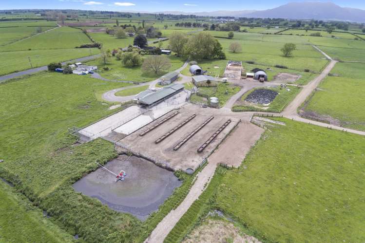 783 Waihekau Road Waitoa_2