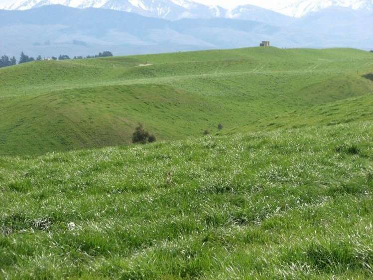 62 Harveys Road Island Cliff_20