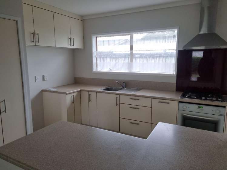 4B Hinau Street 2752_2