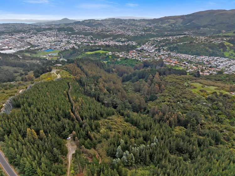 309 Signal Hill Road Opoho_34