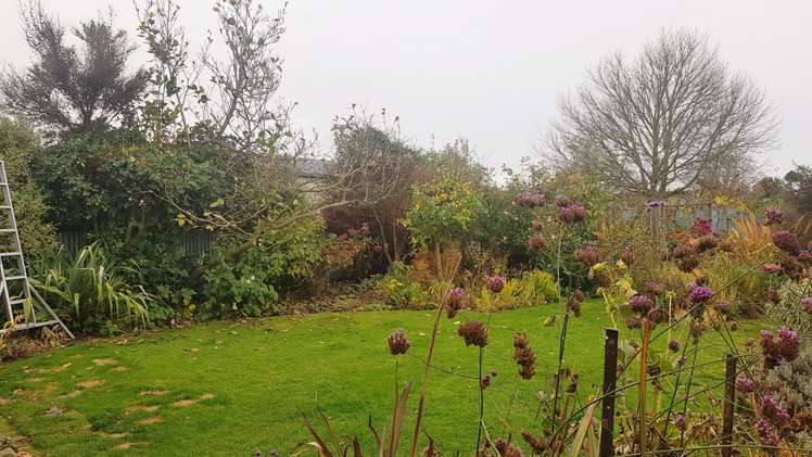 297 Cameron Street Ashburton_17