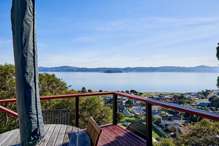 4 Matai Terrace Eastbourne_16