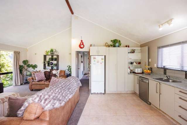 54a Roy Street Palmerston North Central_1