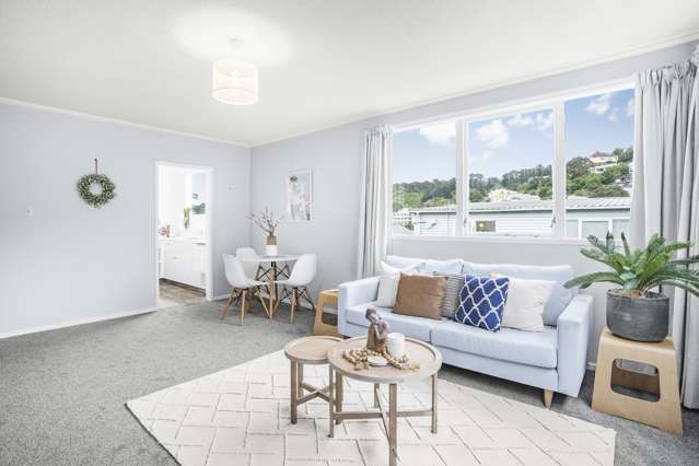 6/76 Waipapa Road Hataitai_1