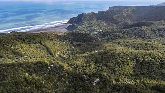 62 Lone Kauri Road Karekare_2
