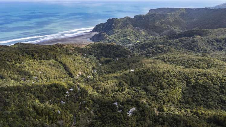 62 Lone Kauri Road_2