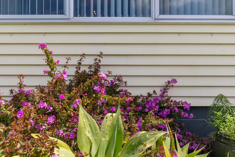 562 Great South Road Huntly_31