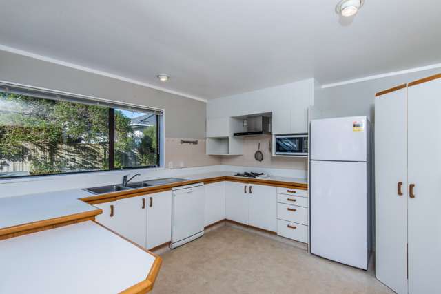 53 Erris Street Johnsonville_4