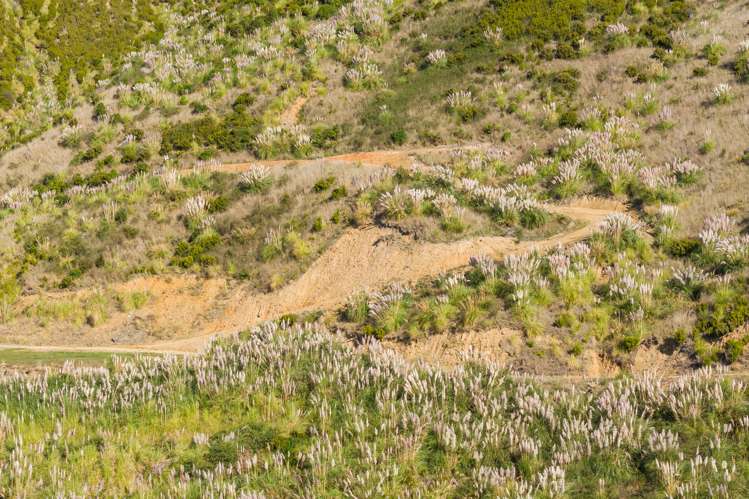 815 Manaroa Road Marlborough Sounds_30