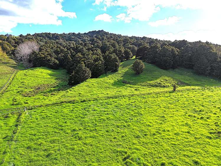 Ounuwhao Road Dargaville Surrounds_7
