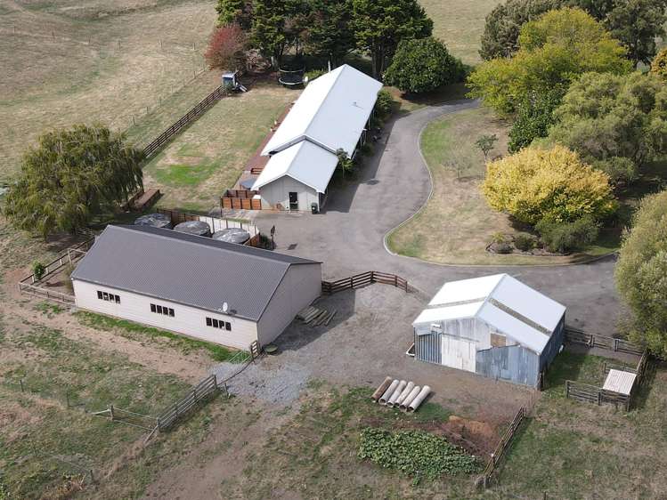 455b State Highway 1 Bulls_37