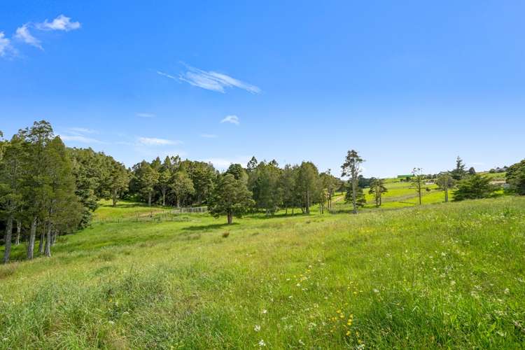 Lot 3 Prictor Rd Wellsford_27