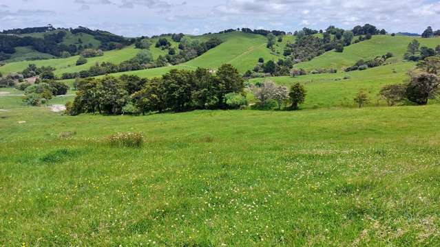 Lot/6 Franklin Road Paparoa_2