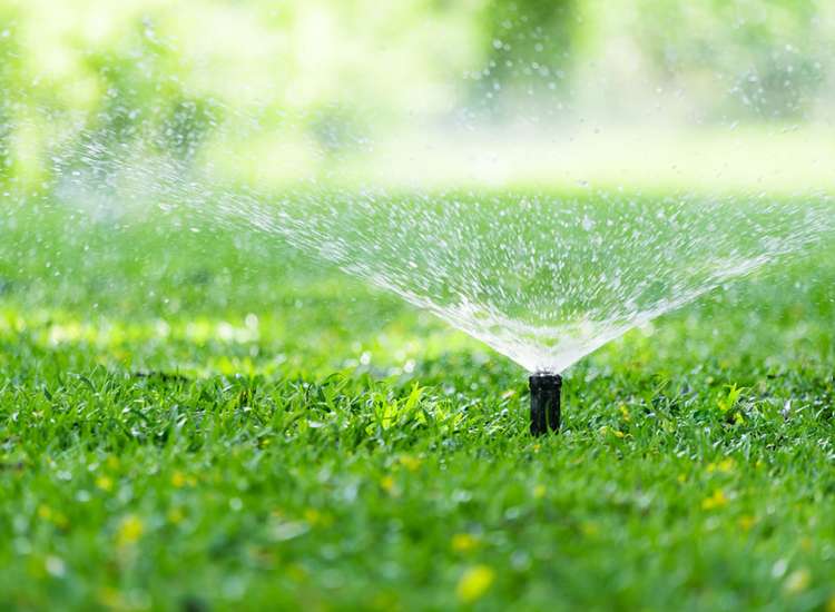 Address withheld Wellington Central_1