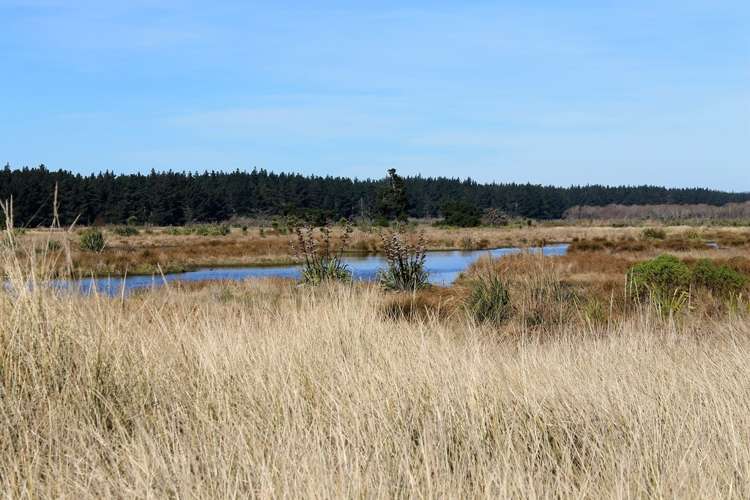 64 Te Kohanga Drive Pegasus_3